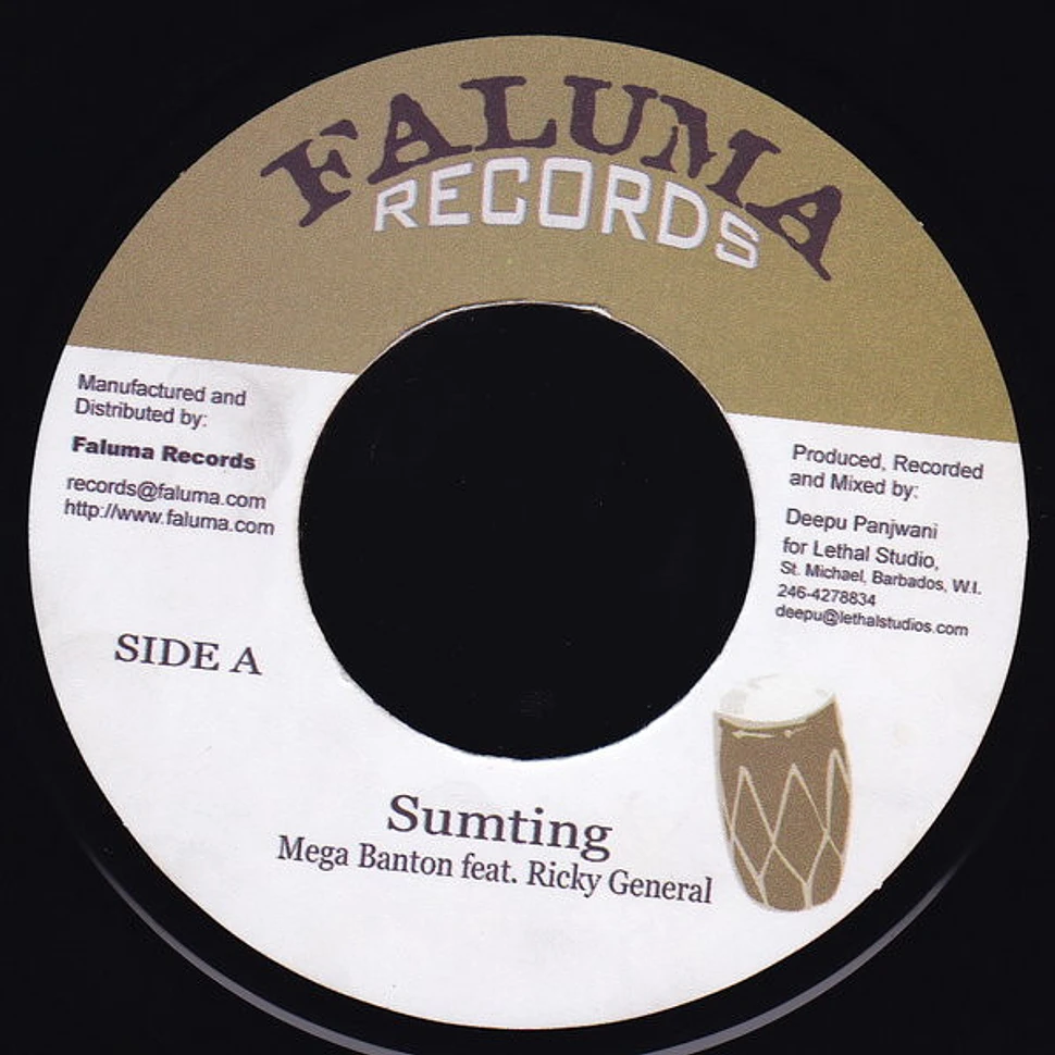 Mega Banton feat. Ricky General - Sumting