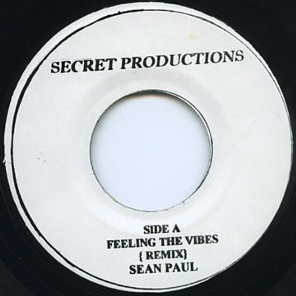 Sean Paul - Feeling The Vibes (Remix)