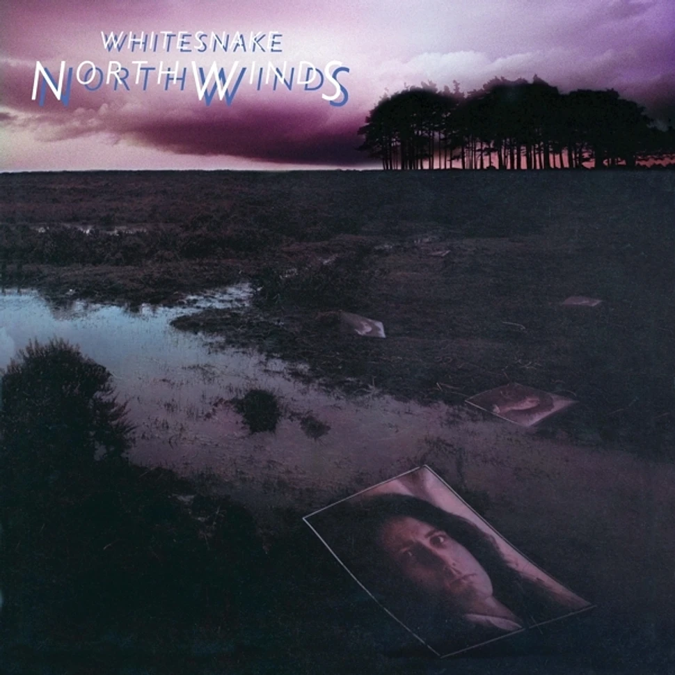 Whitesnake - Northwinds Black Ice Vinyl Edition