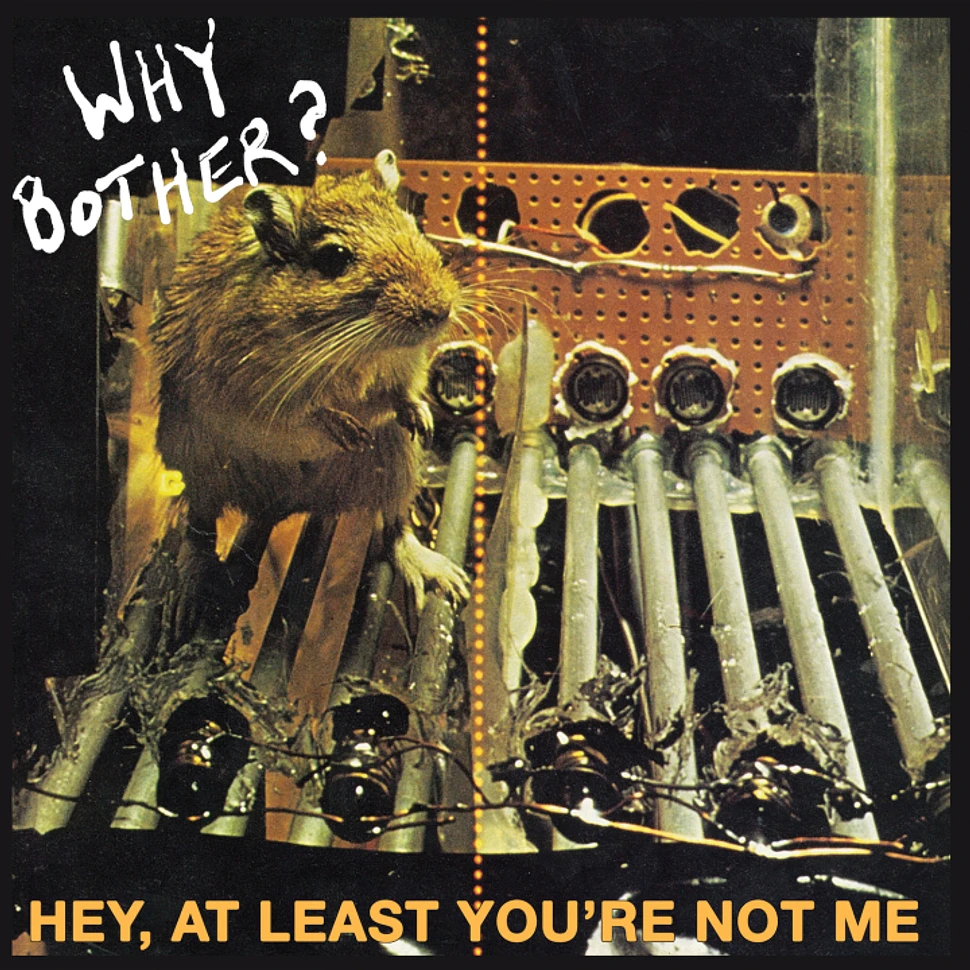 Why Bother - Hey, At Least You're Not Me