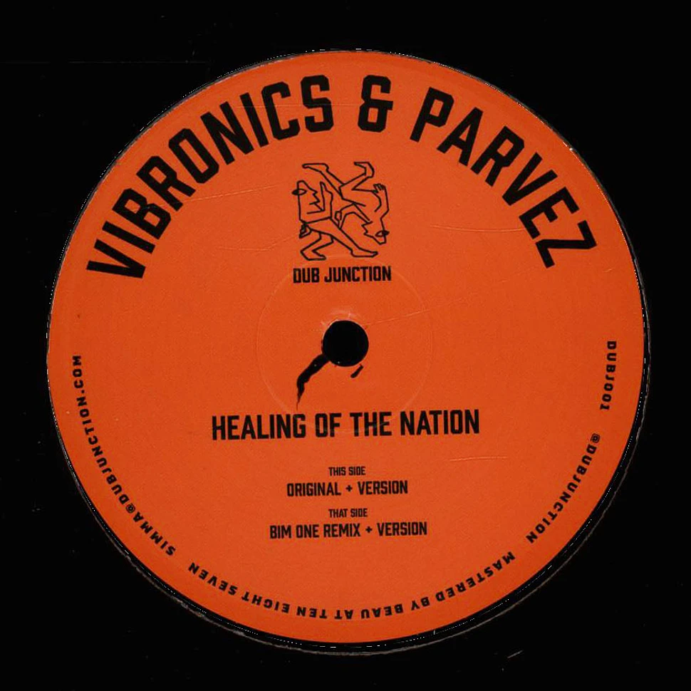 Vibronics & Parvez - Healing Of The Nation Bim One Remix