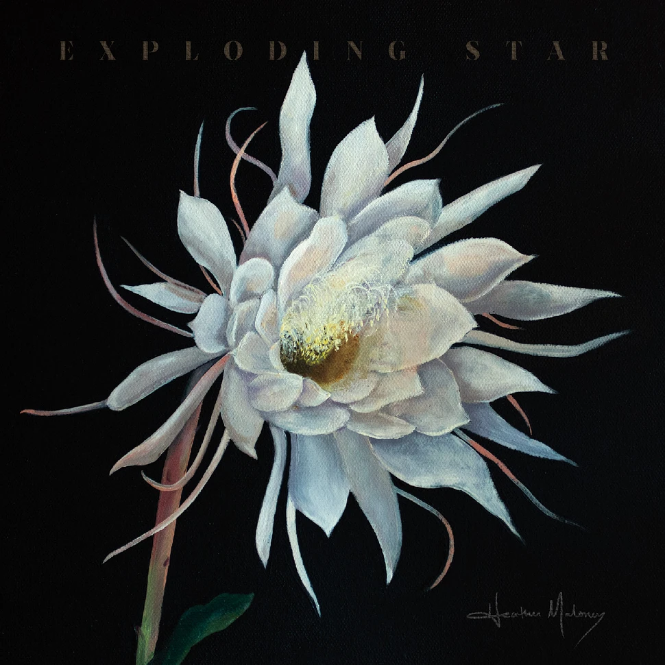 Heather Maloney - Exploding Star