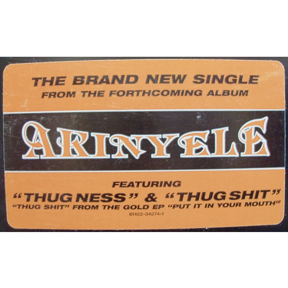 Akinyele - Thug Ness