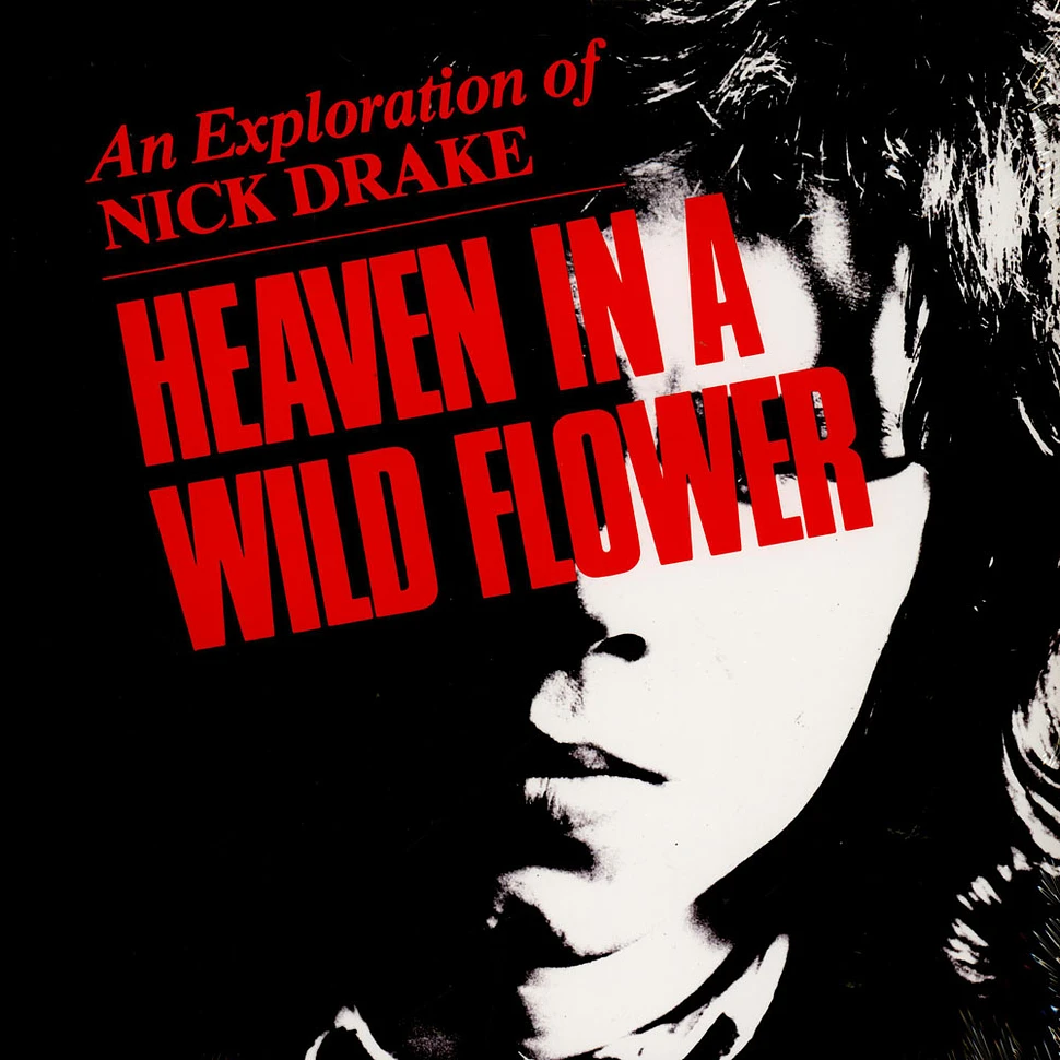 Nick Drake - Heaven In A Wild Flower - An Exploration Of Nick Drake