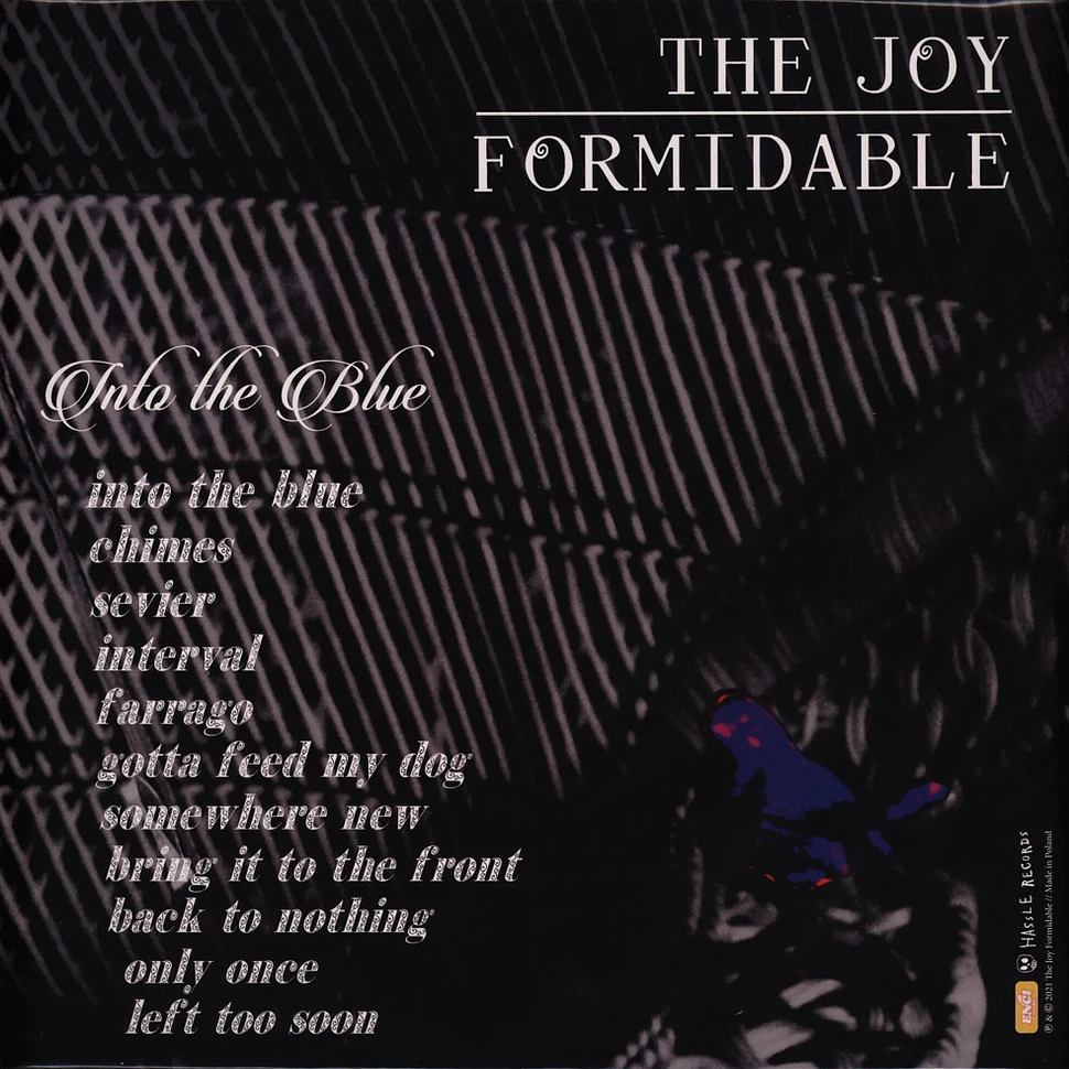 The Joy Formidable - Into The Blue - Marbled + 7"