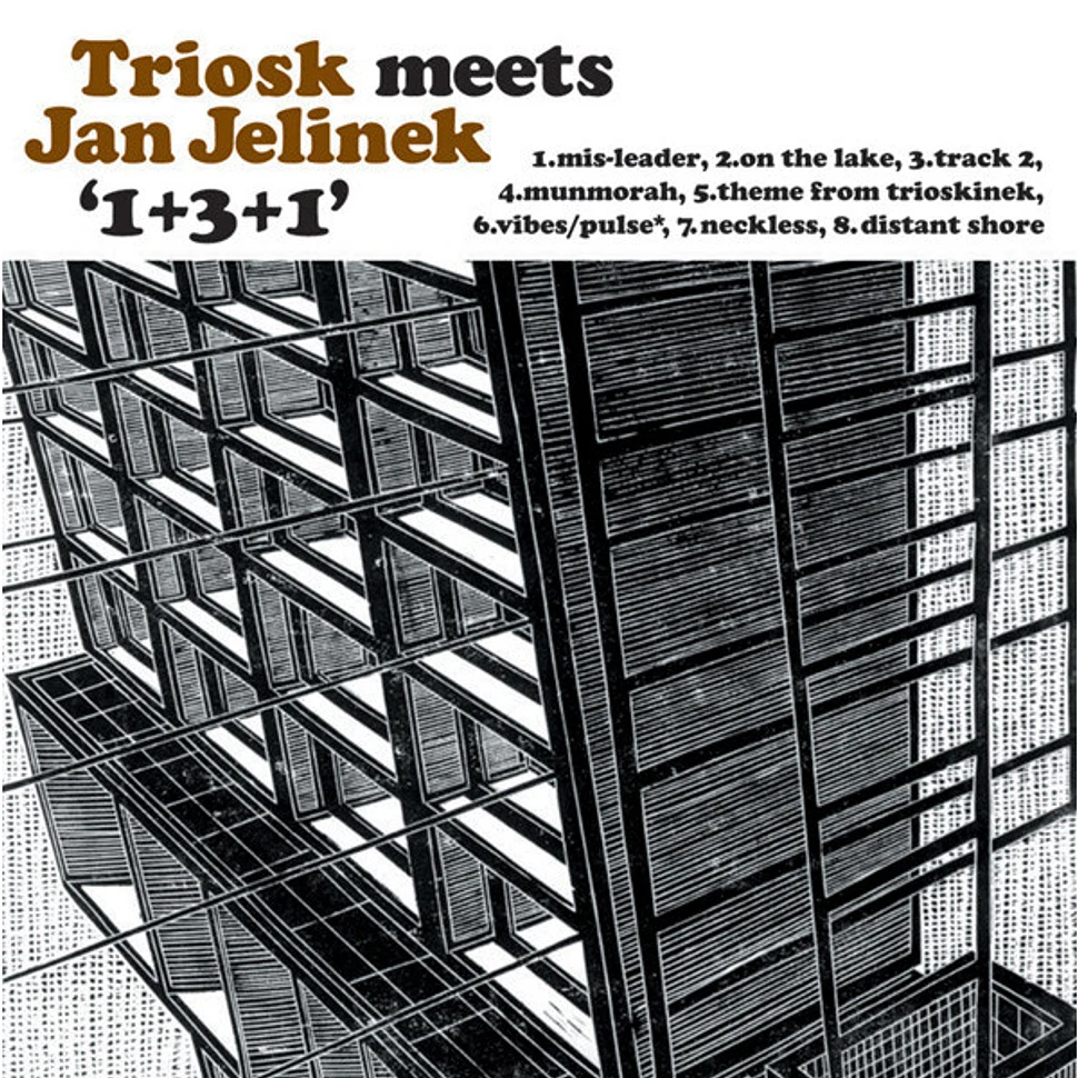 Triosk meets Jan Jelinek - 1+3+1