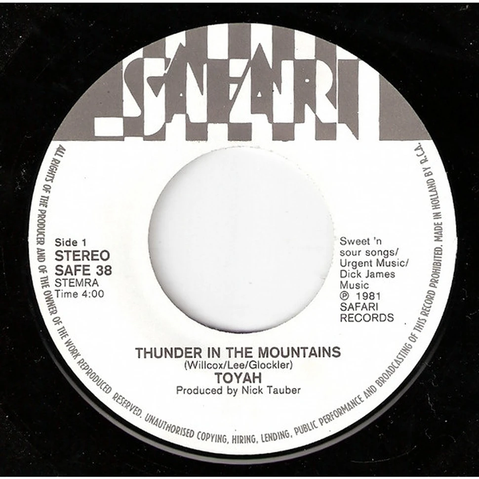 Toyah - Thunder In The Mountains