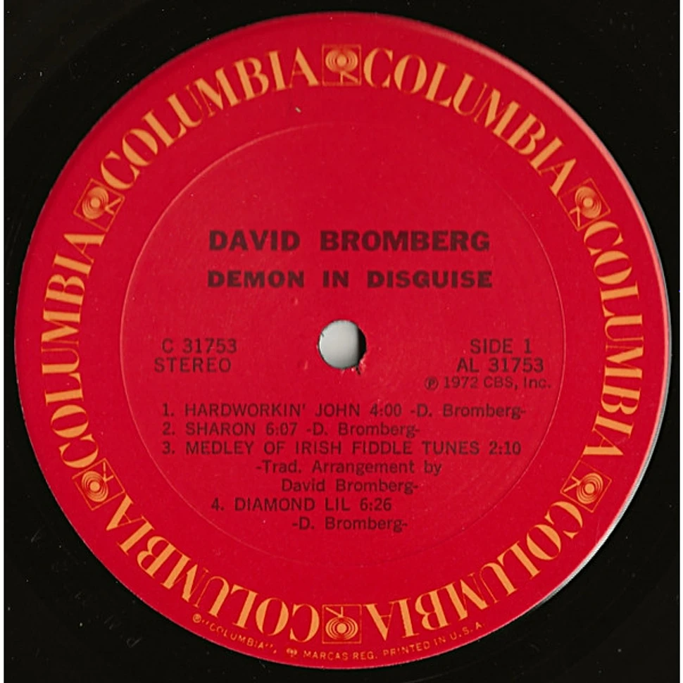 David Bromberg - Demon In Disguise