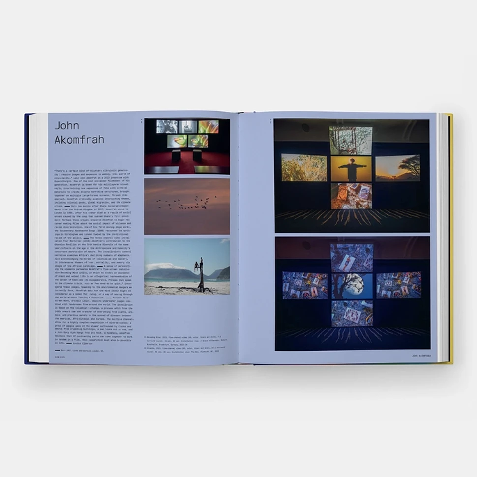 Phaidon Editors - Vitamin V: Video and the Moving Image in Contemporary Art