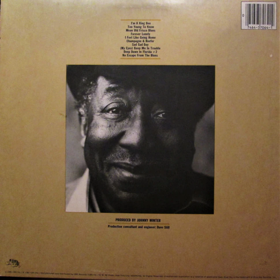 Muddy Waters - King Bee