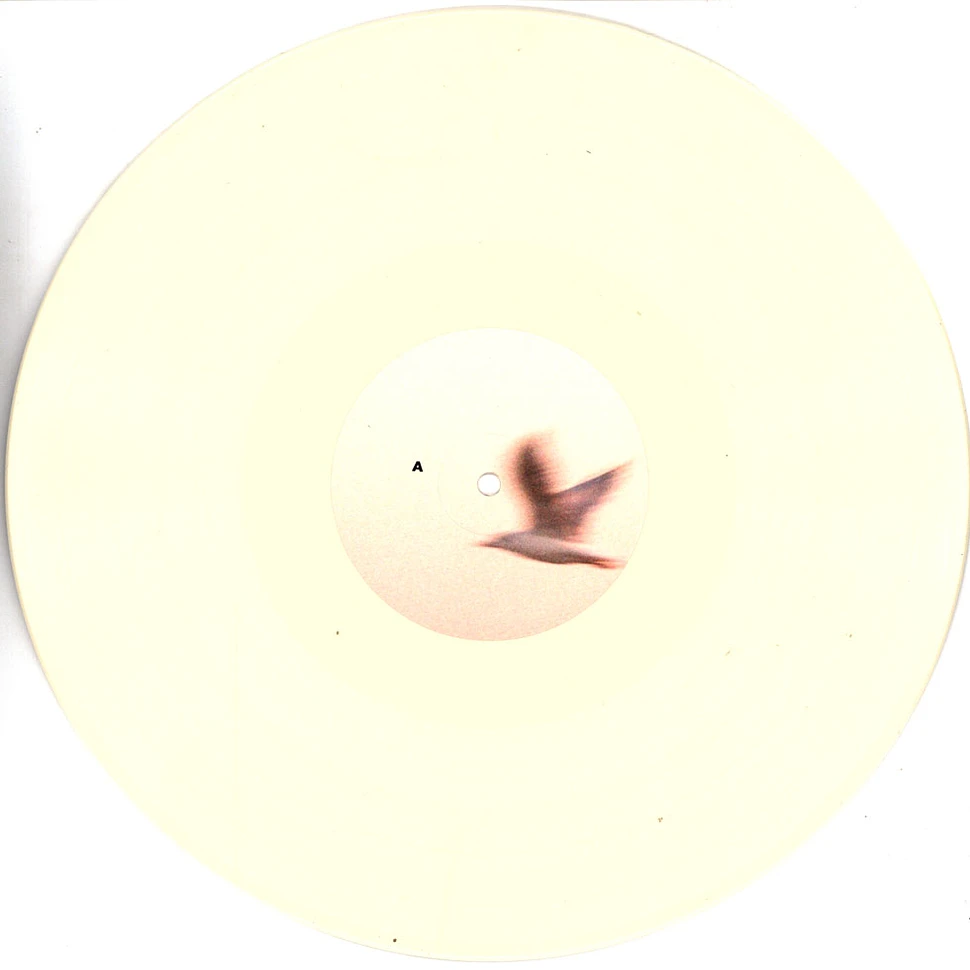 Ralph Heidel - anyways.onto better things - Vinyl LP - 2025 - DE