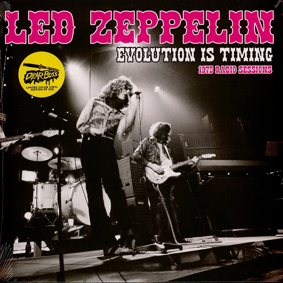 LED ZEPPELIN EVOLUTION IS TIMING 初回デザイン LED ZEPPELIN
