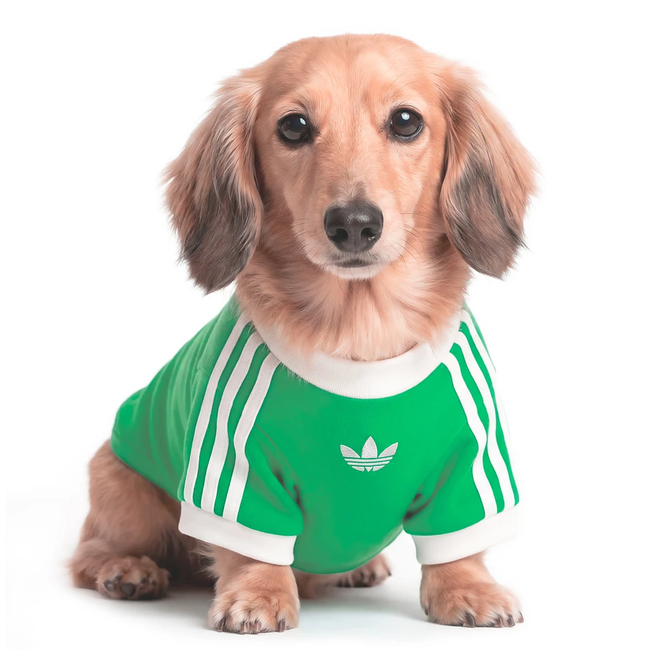 Pet Cali Tee