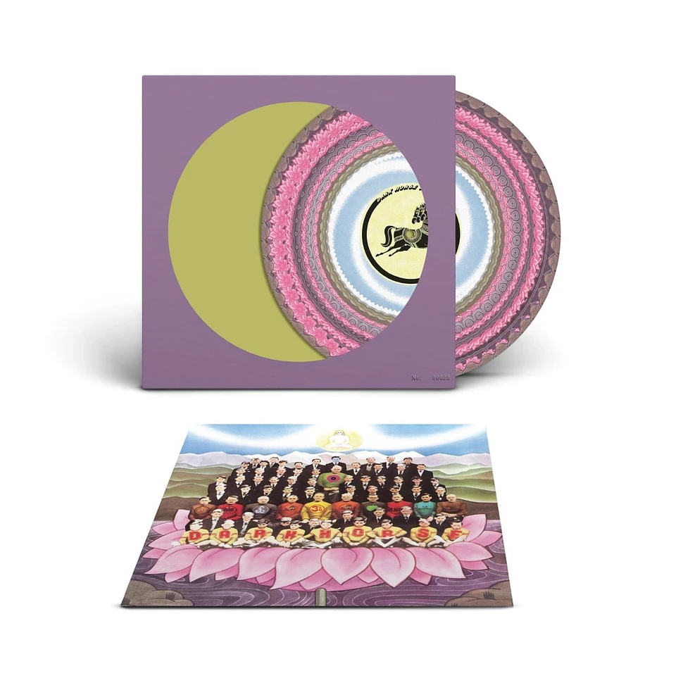 George Harrison - Dark Horse Record Store Day 2026 Zoetrope Vinyl