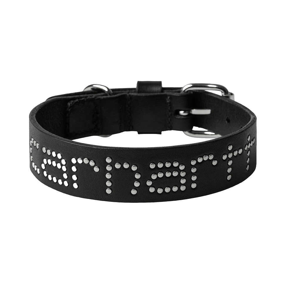 Script Studs Dog Collar